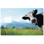 la vache-the-little-boutique-sticker-carte-bancaire-stickercb-2