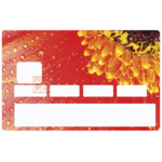 fleur-margeurite-rouge-sticker-autocollant-carte-bancaire-stickercb