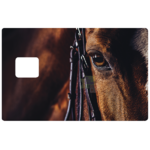 oeil-cheval-horse-stickercb-sticker-carte-bancaire-1