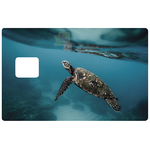 tortue-marine-turtle-us-stickercb-sticker-carte-bancaire-1