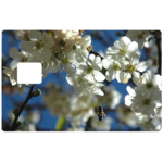 fleurs-de-cerisiers-the-little-boutique-sticker-carte-bancaire-stickercb