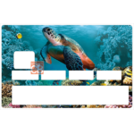 tortue-marine-the-little-boutique-sticker-carte-bancaire-stickercb