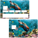 tortue-marine-sticker-carte-bancaire-stickercb-1