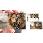lion-sticker-carte-bancaire-stickercb-6