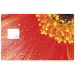 flleur-margeurite-rouge-sticker-autocollant-carte-bancaire-stickercb-1