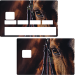 oeil-cheval-horse-sticker-carte-bancaire-stickercb-1