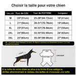 Manteau imperméable pour chiens – Orange_THELITTLEBOUTIQUE_1