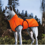 Manteau imperméable pour chiens – Orange_THELITTLEBOUTIQUE_4