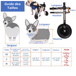 Fauteuil roulant de mobilité pour chien et chat_TEHLITTLEBOUTIQUE