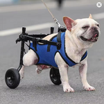 Fauteuil roulant de mobilité pour chien et chat_TEHLITTLEBOUTIQUE__5