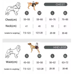 Harnais de soutien réglable pour chien –thelittleboutique-7