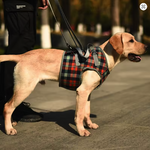 Harnais de soutien réglable pour chien –thelittleboutique-2