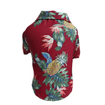 Chemise hawaïenne pour chien et chat –thelittleboutique-