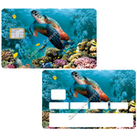 tortue-marine-the-little-boutique-sticker-carte-bancaire-stickercb-9
