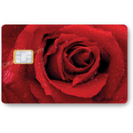 ROSE_ROUGE_CTARINACALAVERA_STICKERCB_2