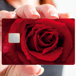 ROSE_ROUGE_CTARINACALAVERA_STICKERCB_3