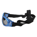 lunette-pour-chien-the-little-boutique-4