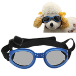 lunette-pour-chien-the-little-boutique-fr