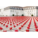 the-little-boutique-ottmar-horl-rose-3