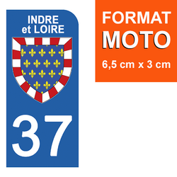 Stickers Style Plaque D'immatriculation FULL BLACK Région Val De Loire 37 - 4 Autocollants Vinyle, 10x4,5 Cm
