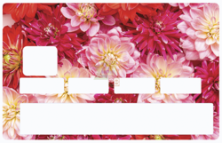 Marguerite Rouge - sticker pour carte bancaire, 2 formats de carte