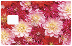 Sticker pour carte bancaire, Nuages rouges, édition limitée 100 ex