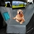PETRAVEL-housse-de-si-ge-de-voiture-pour-chien-imperm-able-pour-voyage-transport-d-animaux