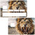 lion-sticker-carte-bancaire-stickercb-2