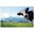 la-vache-the-little-boutique-sticker-carte-bancaire-stickercb-2
