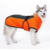 Manteau imperméable pour chiens – Orange_THELITTLEBOUTIQUE_24