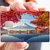 FUJIYAMA-JAPAN-the-little-boutique-credit-card-sticker_5 copie