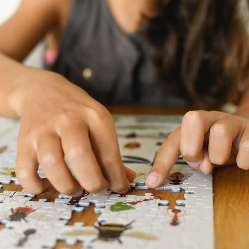 puzzle poppik insectes 6