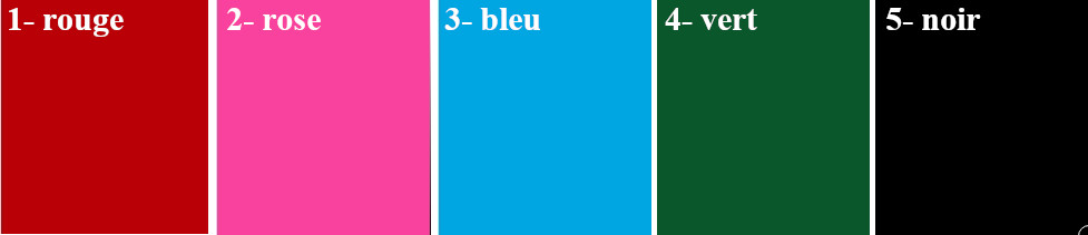 Palette couleurs flex sac pochon FACE 2 - MARJANE et Cie