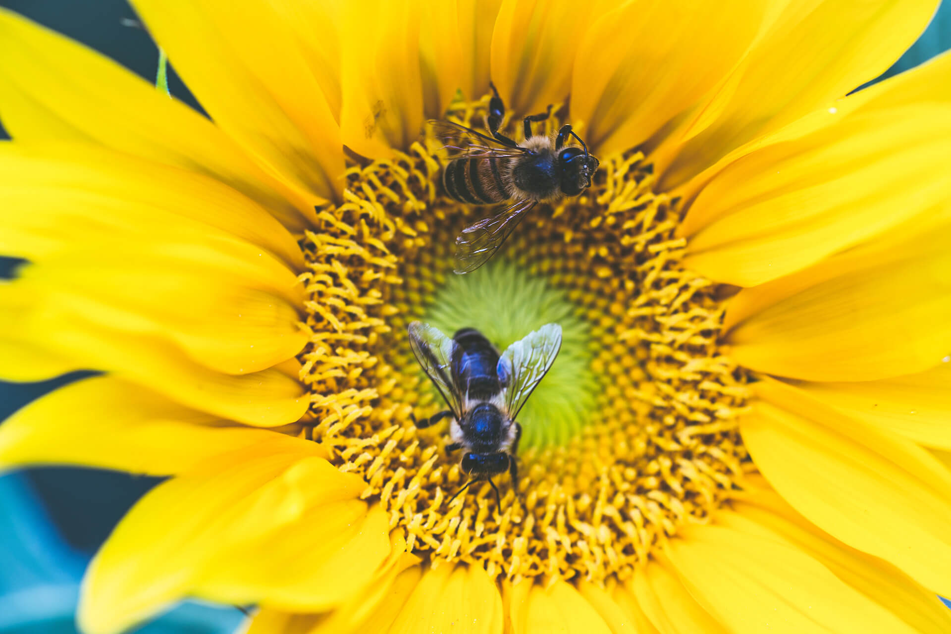 photo de markus spiske provenant de pexels