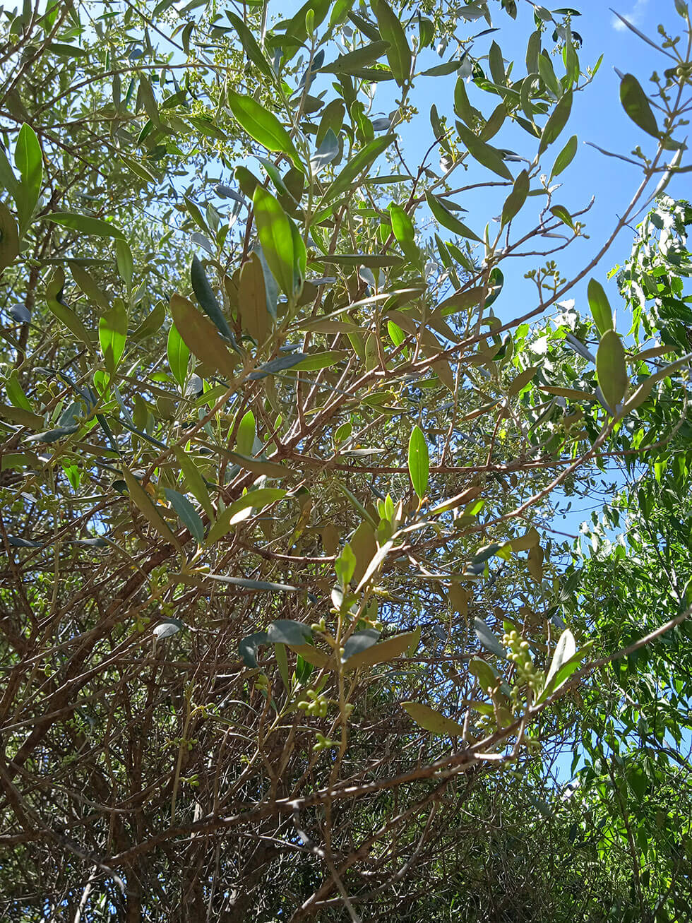 img 20210517 152242