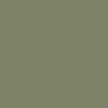 OLIVE RAL6013