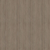 Chêne_gris