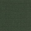 Cyprès_B03