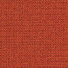 Abricot_B06
