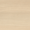 Acacia_lakeland_LA_177px