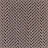10_collection _48