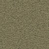 Tissu Olive