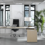 fauteuil_direction_dynamobel_dis_ambiance_bureau