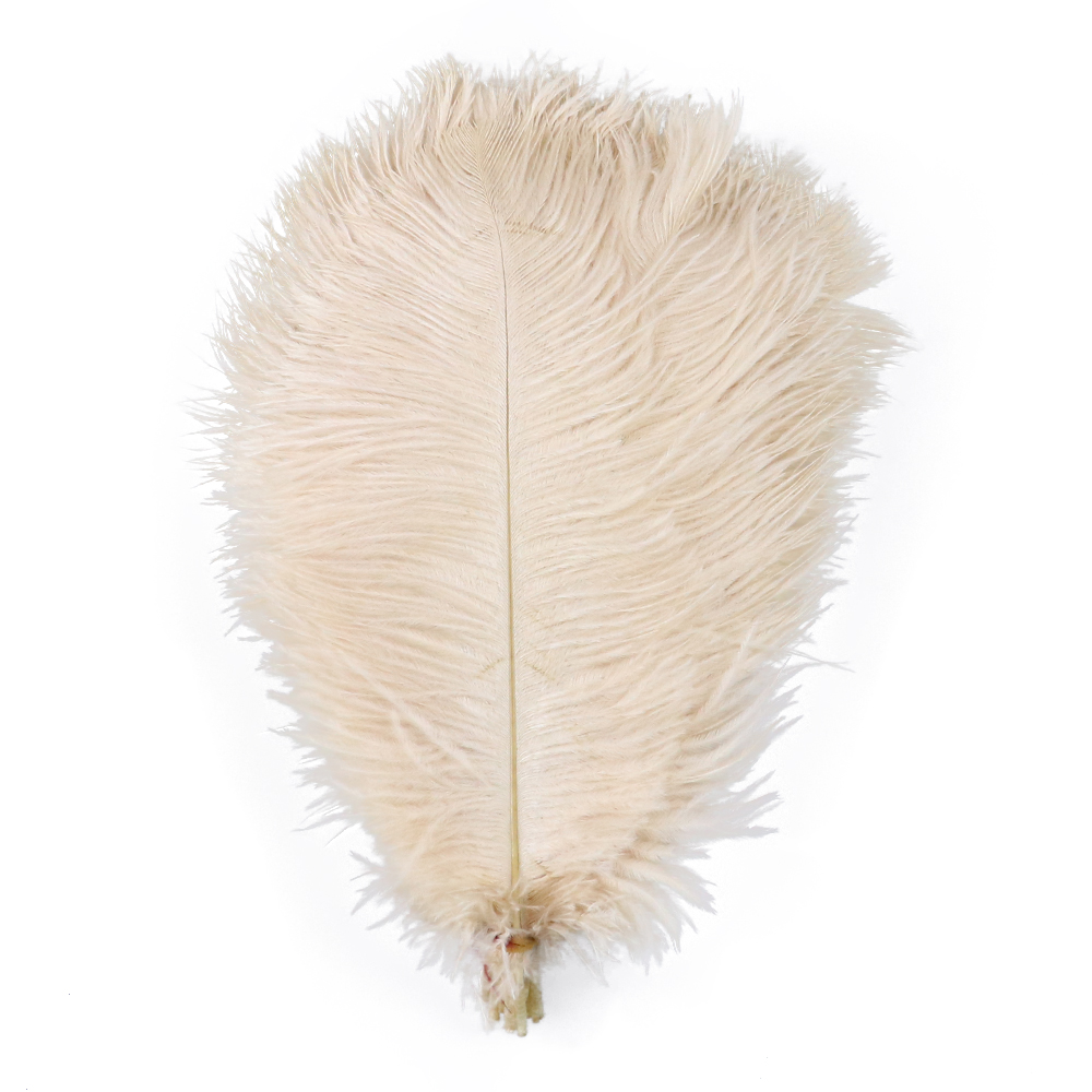Lot De 10 Plumes D'Autruche Naturelles 8-25cm - Décoration Mariage, Fête, DIY, Maison (Turquoise)