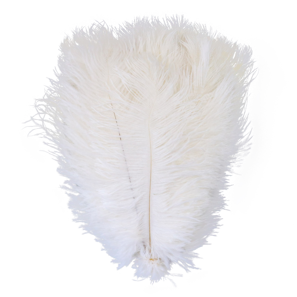 Plume-d-autruche-blanche-naturelle-25-30cm-10-12-pouces-pour-f-te-de-mariage-d