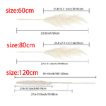 Botte-de-roseaux-des-marais-s-ch-s-10-pi-ces-120cm-grandes-fleurs-naturelles-pour