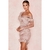 Mini-robe-bandes-rose-Sexy-col-en-V-manches-longues-l-gante-en-dentelle-moulante-soir