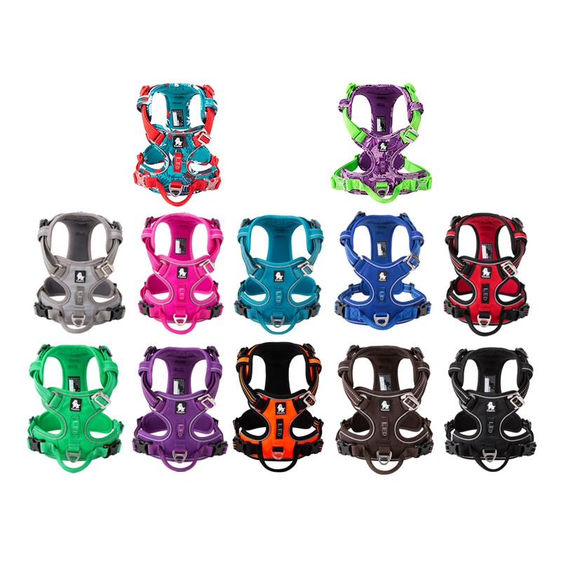 TRUELOVE-Harnais-pour-animal-de-compagnie-en-nylon-r-fl-chissant-ne-n-cessite-pas-de
