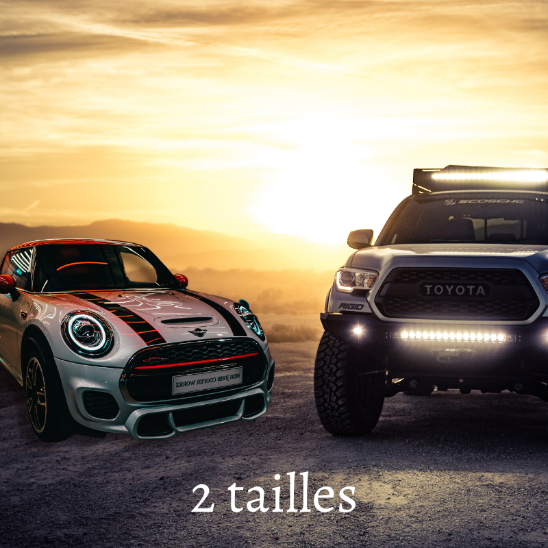 2 tailles (1)