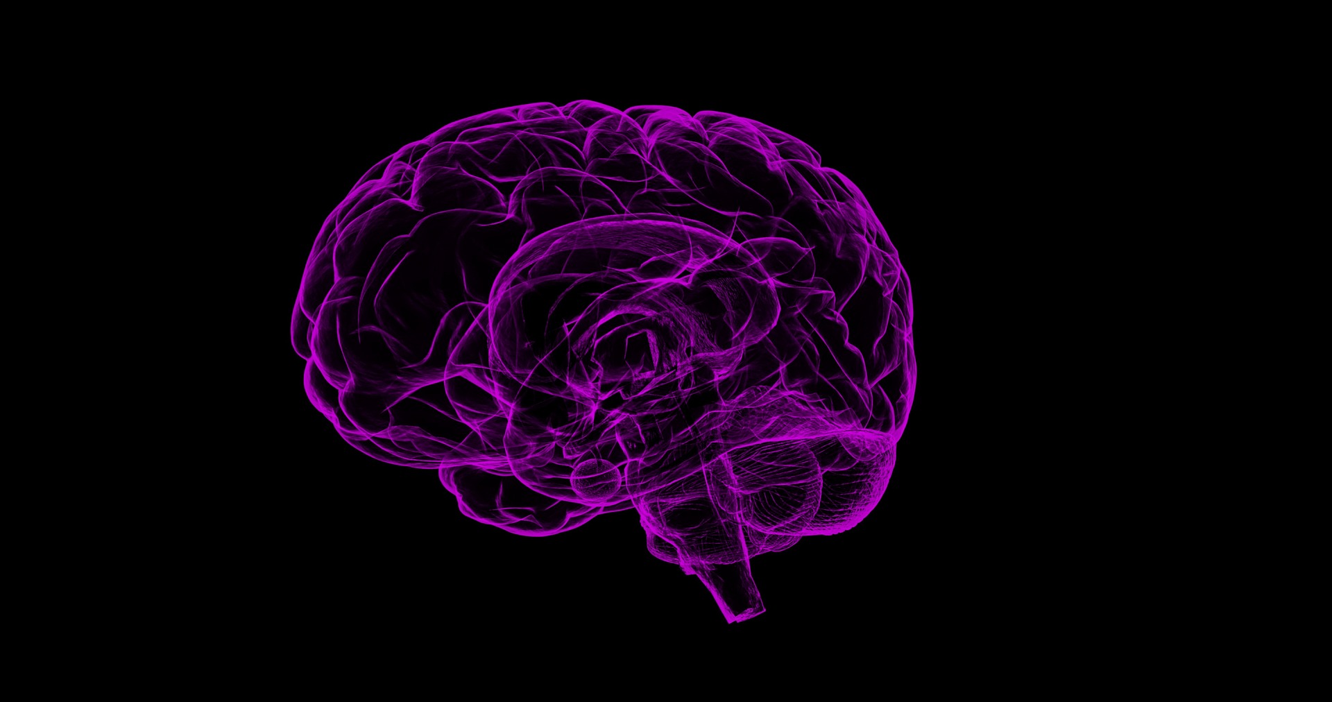 brain g63680e8ec 1920